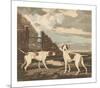 Pair of Pointers-Reuben Ward Binks-Mounted Premium Giclee Print