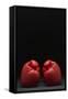 Pair of Red Boxing Gloves-null-Framed Stretched Canvas