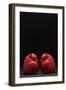 Pair of Red Boxing Gloves-null-Framed Photo