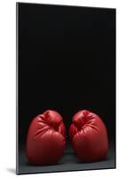 Pair of Red Boxing Gloves-null-Mounted Photo