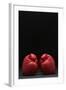 Pair of Red Boxing Gloves-null-Framed Photo