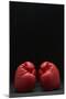 Pair of Red Boxing Gloves-null-Mounted Photo