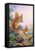 Pair of Red Squirrels on a Scottish Pine-Carl Donner-Framed Stretched Canvas