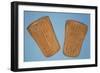 Pair of Shin Pads, 1930s-null-Framed Giclee Print