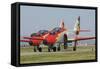 Pair of Spanish Air Force C-101 of the Patrulla Aguila Aerobatics Team-Stocktrek Images-Framed Stretched Canvas