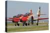 Pair of Spanish Air Force C-101 of the Patrulla Aguila Aerobatics Team-Stocktrek Images-Stretched Canvas