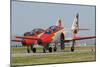 Pair of Spanish Air Force C-101 of the Patrulla Aguila Aerobatics Team-Stocktrek Images-Mounted Photographic Print