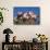 Pair of Spotted Piglets Among Gourds in a Wooden Peach Basket, Freeport, Illinois, USA-Lynn M^ Stone-Framed Stretched Canvas displayed on a wall