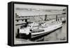 Pair of Steamboats-null-Framed Stretched Canvas