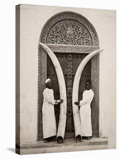 Pair of Tusks, Zanzibar-null-Stretched Canvas
