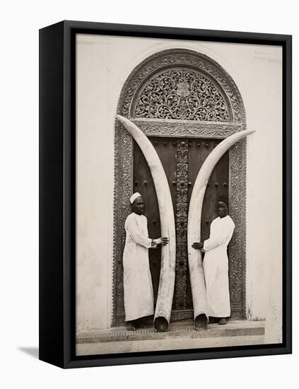 Pair of Tusks, Zanzibar-null-Framed Stretched Canvas