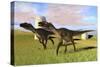 Pair of Utahraptors in a Grassy Field-null-Stretched Canvas