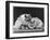 Pair of Very Fluffy Blue Persian Cats Sit Together-null-Framed Photographic Print