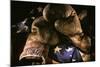 Pair of vintage boxing gloves laying on a flag carefully painted with light-Sheila Haddad-Mounted Photographic Print
