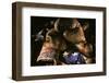 Pair of vintage boxing gloves laying on a flag carefully painted with light-Sheila Haddad-Framed Photographic Print