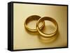 Pair of Wedding Bands-Christopher C Collins-Framed Stretched Canvas