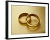 Pair of Wedding Bands-Christopher C Collins-Framed Photographic Print