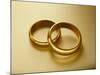 Pair of Wedding Bands-Christopher C Collins-Mounted Photographic Print