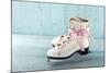 Pair Of White Women'S Ice Skates-Anna-Mari West-Mounted Art Print