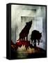 Pair of Wolves-LightBoxJournal-Framed Stretched Canvas