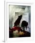 Pair of Wolves-LightBoxJournal-Framed Giclee Print