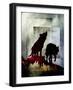 Pair of Wolves-LightBoxJournal-Framed Giclee Print