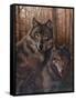 Pair of Wolves-Unknown Chiu-Framed Stretched Canvas