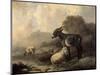 Paisaje Con Animales, Hacia 1844-Jenaro Perez Villaamil-Mounted Giclee Print