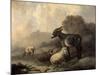 Paisaje Con Animales, Hacia 1844-Jenaro Perez Villaamil-Mounted Giclee Print