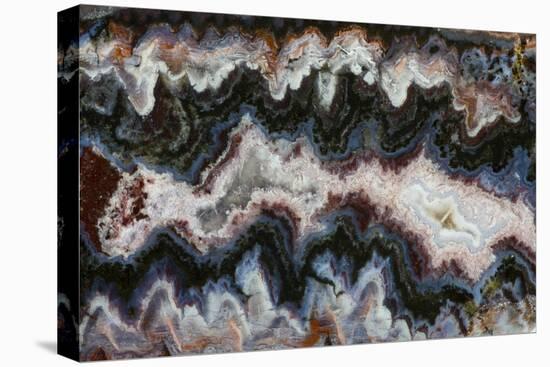 Paisley Agate-Darrell Gulin-Stretched Canvas