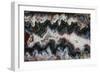 Paisley Agate-Darrell Gulin-Framed Photographic Print