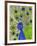 Paisley B Peacock-Blenda Tyvoll-Framed Giclee Print