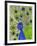 Paisley B Peacock-Blenda Tyvoll-Framed Giclee Print