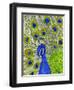 Paisley B Peacock-Blenda Tyvoll-Framed Giclee Print