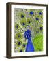 Paisley B Peacock-Blenda Tyvoll-Framed Giclee Print