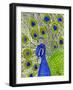 Paisley B Peacock-Blenda Tyvoll-Framed Giclee Print