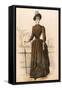 Paisley Costume 1888-null-Framed Stretched Canvas