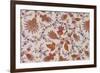 Paisley Floral Pattern Repeat on Off White Background-null-Framed Giclee Print