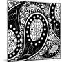 Paisley Party B/W-Mindy Sommers-Mounted Giclee Print