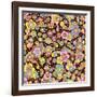 Paisley Pattern On Black-Ron Magnes-Framed Giclee Print