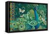 Paisley Peacock-David Galchutt-Framed Stretched Canvas