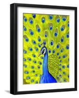 Paisley Peacock-Blenda Tyvoll-Framed Giclee Print