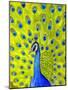 Paisley Peacock-Blenda Tyvoll-Mounted Giclee Print