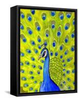 Paisley Peacock-Blenda Tyvoll-Framed Stretched Canvas