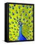 Paisley Peacock-Blenda Tyvoll-Framed Stretched Canvas