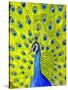 Paisley Peacock-Blenda Tyvoll-Stretched Canvas