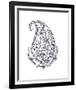 Paisley Teardrop-The Vintage Collection-Framed Giclee Print