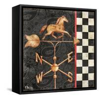 Paisley Weathervanes I-Paul Brent-Framed Stretched Canvas