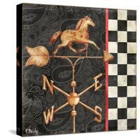 Paisley Weathervanes I-Paul Brent-Stretched Canvas