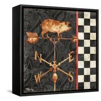 Paisley Weathervanes III-Paul Brent-Framed Stretched Canvas